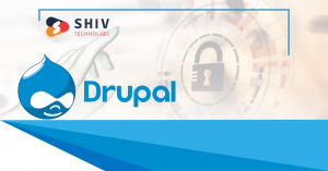 Drupal Development Company